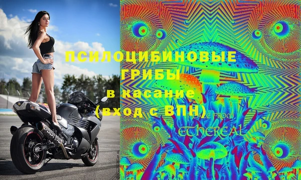 apvp Карталы