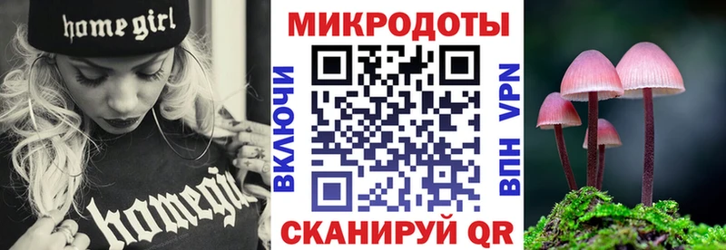 Купить  Зеленокумск  Псилоцибиновые грибы Cubensis 